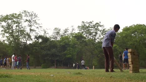 children playing cricket