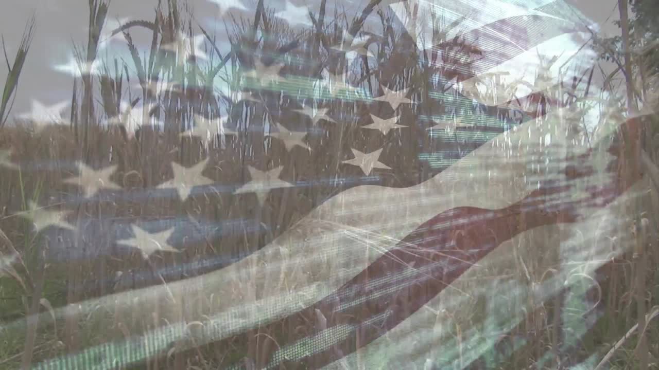 Digital composition of waving american flag against close up of crops in farm field