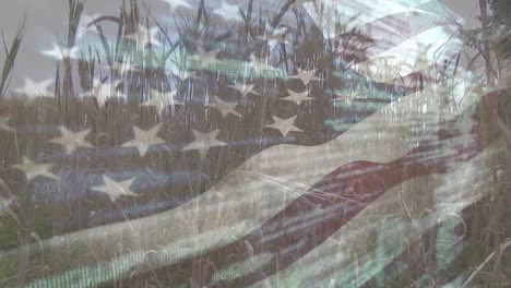 digital composition of waving american flag against close up of crops in farm field
