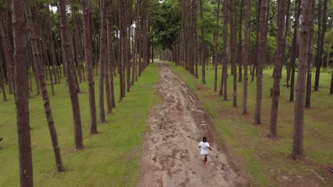 young man running through the middle of rows of pine trees