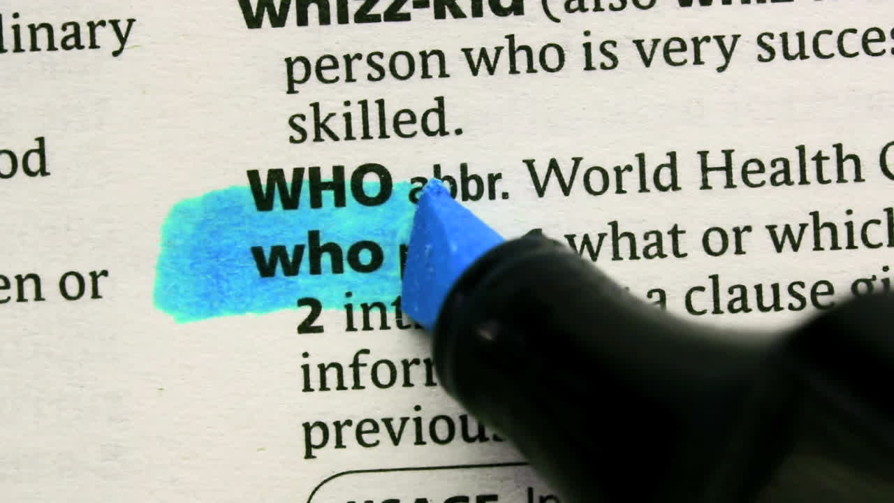 파란색으로 강조된