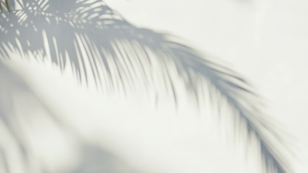 Soft-focus video of palm leaf shadows on a white wall, captured from a low angle, creating a serene