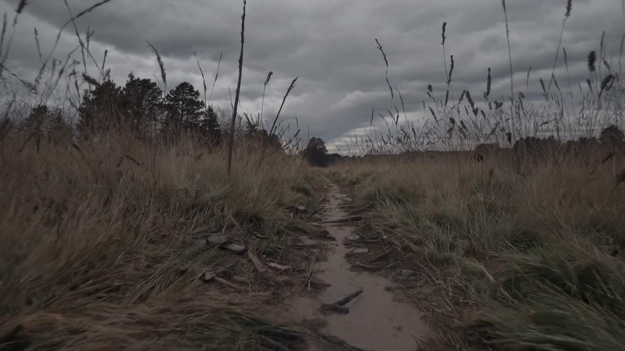 A low-angle video shot of a muddy path through tall grass under a cloudy sky, creating a moody