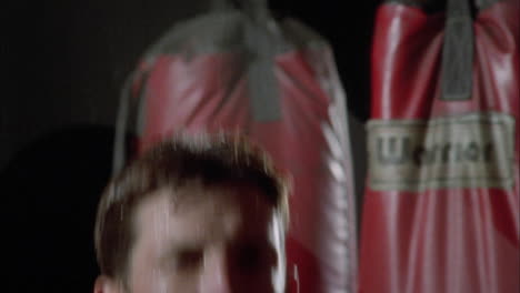 two boxers exercise jumping rope