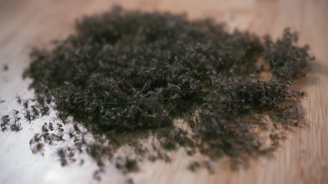 나무 표면에 죽은 모기가 많이 있는 중간 스핀 샷