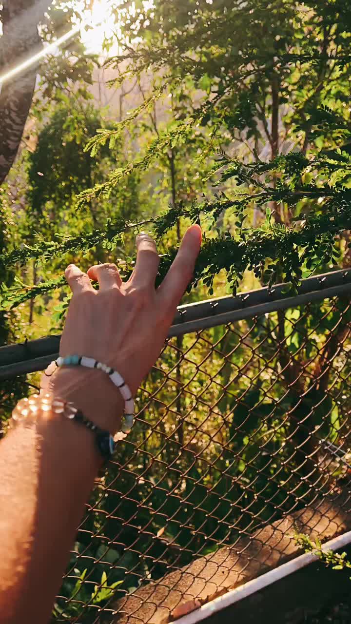 Hand with Bracelet Reaching for Plants