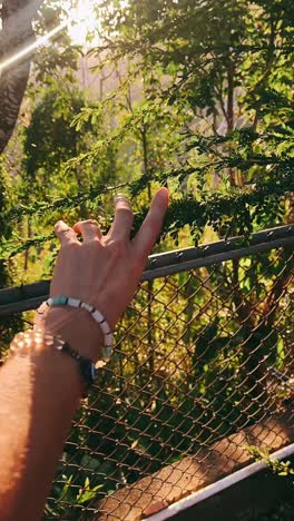 hand with bracelet reaching for plants
