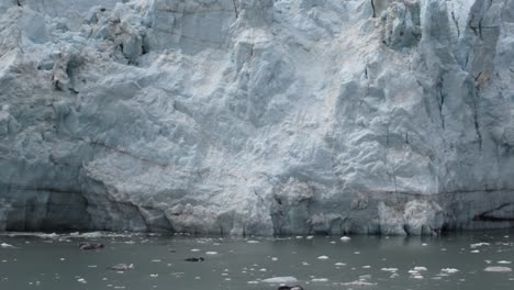 primer plano de la gran pared de hielo del glaciar margerie en el parque nacional y reserva de la bahía de los glaciares, alaska