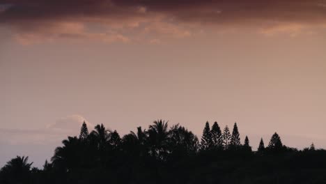 sunset glow behind a generic distant forest