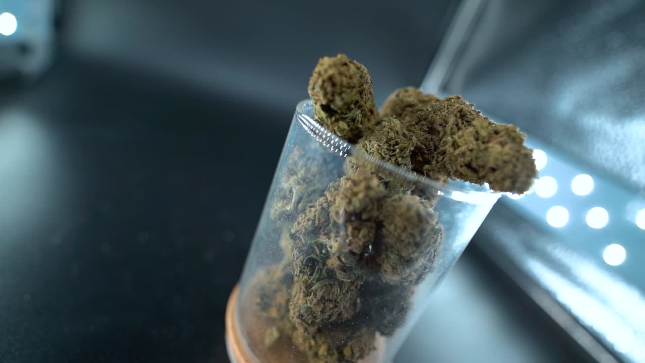 un primer plano detallado de zoom rotativo de una planta de cannabis, flor de marihuana en un vaso brillante, cepas híbridas, indica y sativa, cámara lenta de 120 fps en alta definición, iluminación de estudio cinematográfico