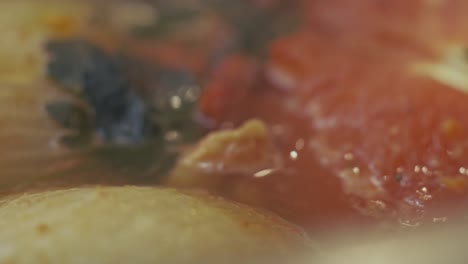 some tomatoes, onions and leaves simmer in a delicious vegetable soup - extreme close up