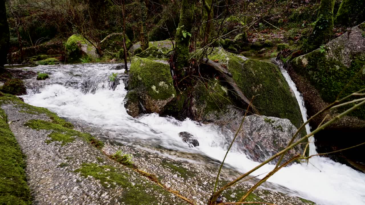 Aliran sungai hutan di atas bebatuan berlumut di Portugal