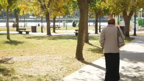 woman walking in an autumn park