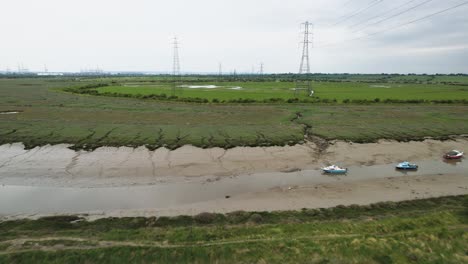 在泥<unk>的河岸沼澤地上空飛往供電柱塔,巴西爾登