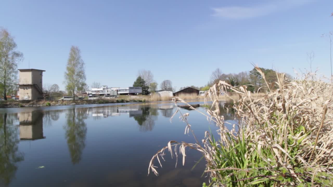 Riverside with plants on it