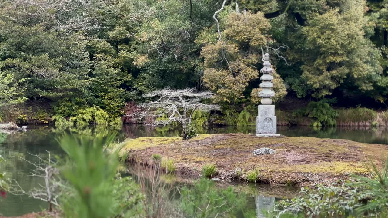 idílico estanque con vegetación exuberante en el jardín del templo kinkaku-ji en kioto, japón
