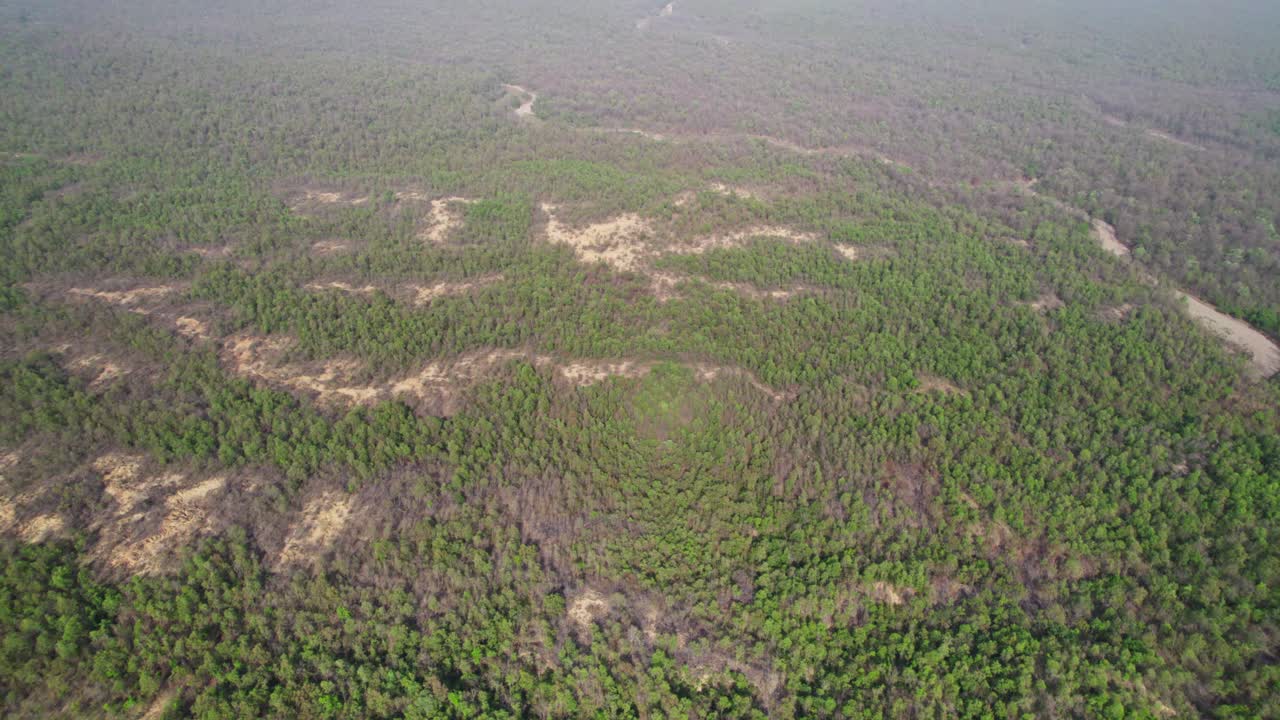 bosque denso y verde de nepal