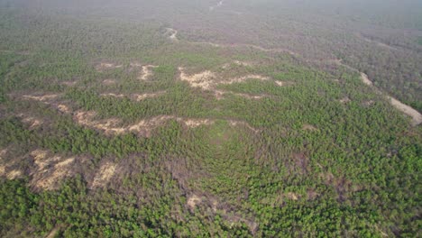 bosque denso y verde de nepal