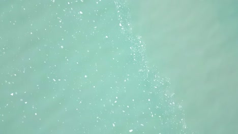 ice blocks floating in the arctic sea