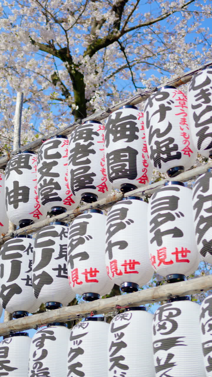 White paper lanterns with cherry blossoms on the background in the courtyard of the Senso-ji temple in Asakusa, Tokyo, Japan. Vertical. Translation:" Emperor names"