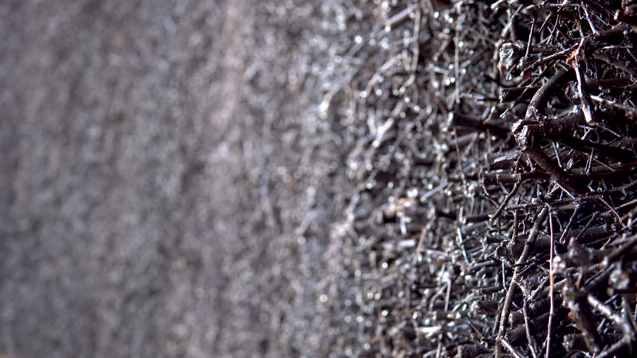 나뭇잎을 모두 잃은 가을 덤불 위로 떨어지는 비의 선택적 초점 샷 - 훌륭한 카피 및 광고 공간