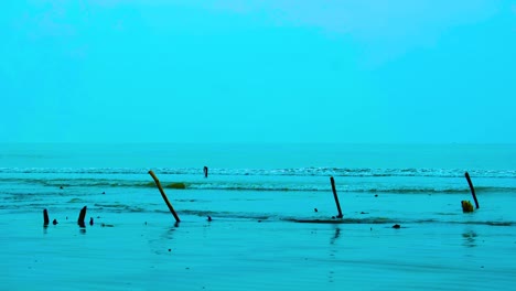 Beautiful-landscape,-a-wave-runs-on-the-sandy-shore-of-the-sea,-close-up