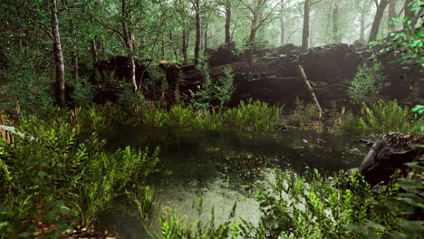 Paisaje-Forestal-De-Verano-Con-árboles-Verdes-De-Hoja-Caduca-En-La-Orilla-Del-Pequeño-Estanque