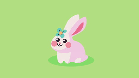 cute pink rabbit with flower