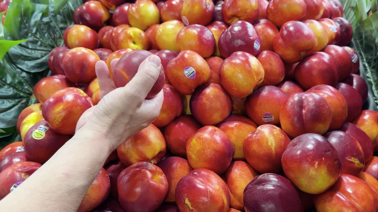 A person's hand carefully picks through a large display of ripe nectarines in a supermarket