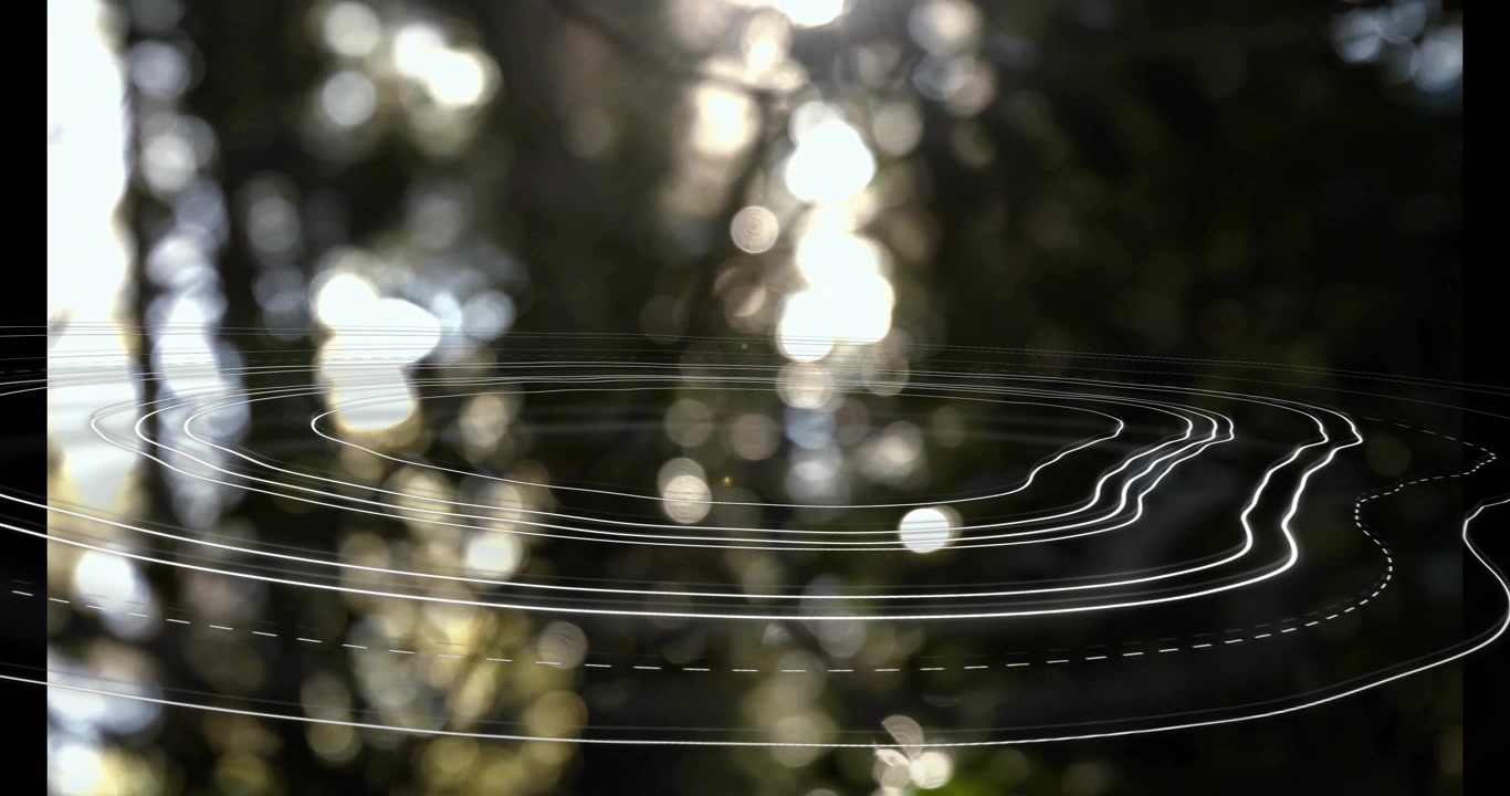 Sunlight filtering through trees causing white contour rings appearing over blurred woods