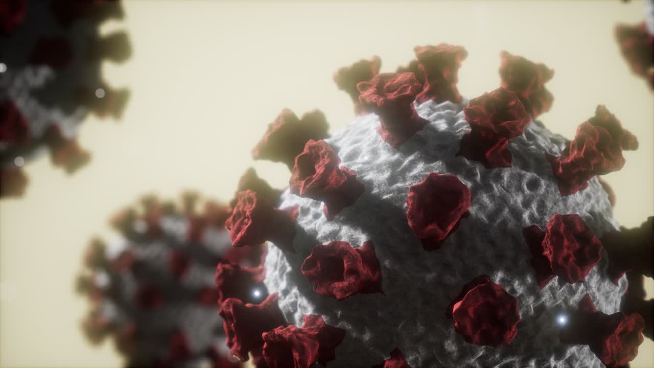 el virus de la corona covid 19 es un modelo macro