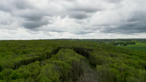 drone crane up shot showing deforestation in green british woodland area