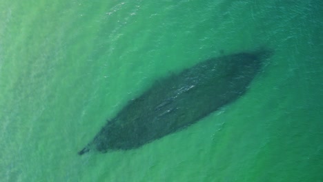 Aerial-topdown-of-old-wooden-shipwreck-underwater,-Lake-Superior,-Michigan