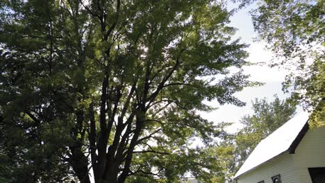 Panorámica-Hacia-Abajo-Desde-La-Copa-De-Un-árbol-Con-El-Sol-Brillando-A-Través-De-Las-Ramas-De-Los-árboles-Hasta-Una-Escuela-Patrimonial-En-El-Strathmere-Resort-And-Spa-En-Ottawa,-Canadá.