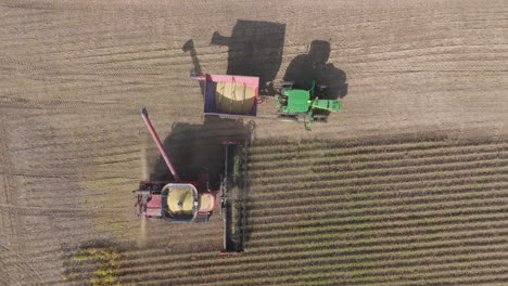 Top-Down-View-of-Combine-Harvester-and-Tractor-with-Bin-Collecting-Soybeans-in-Field