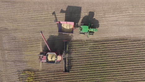 top-down view of combine harvester and tractor with bin collecting soybeans in field