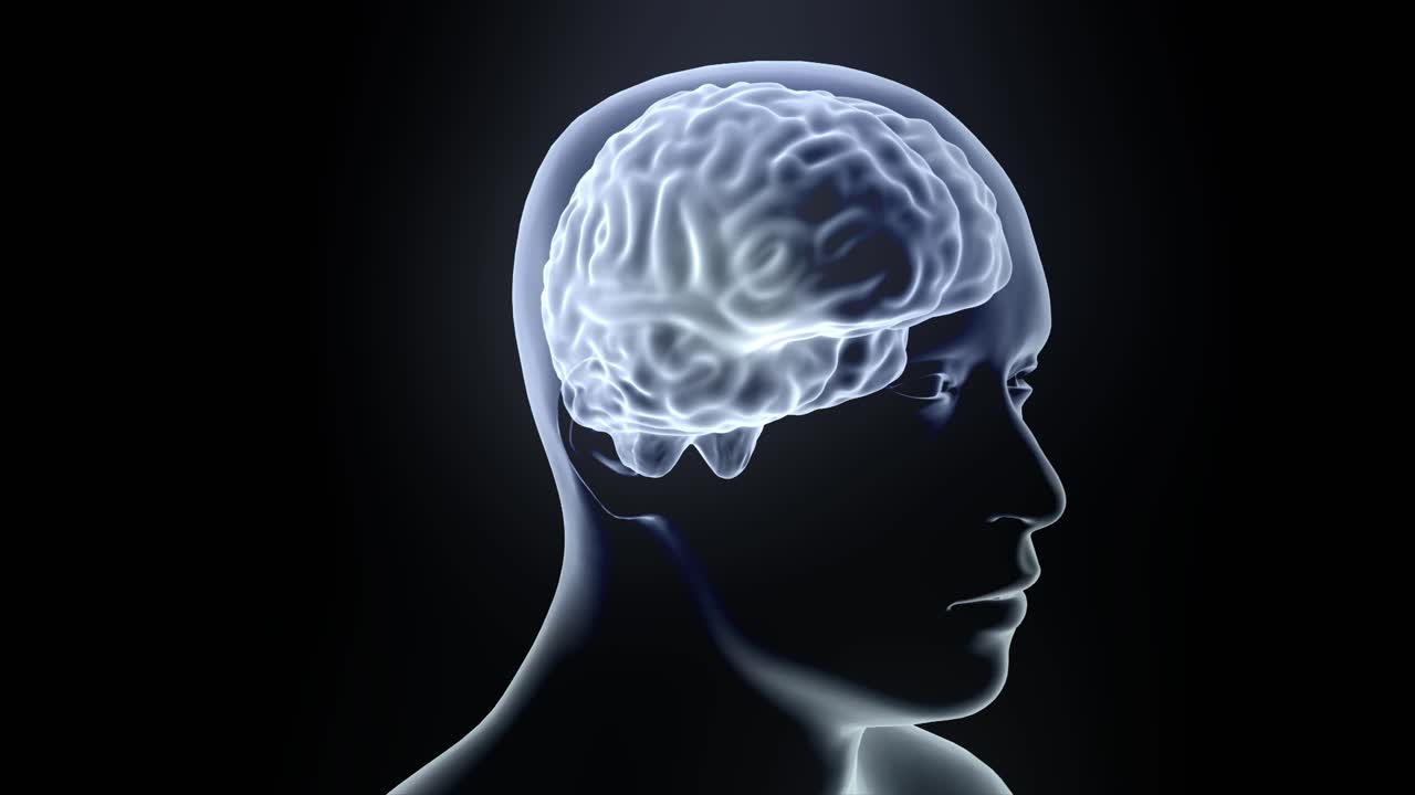 Ologramma del cervello con testa che ruota in loop 4k