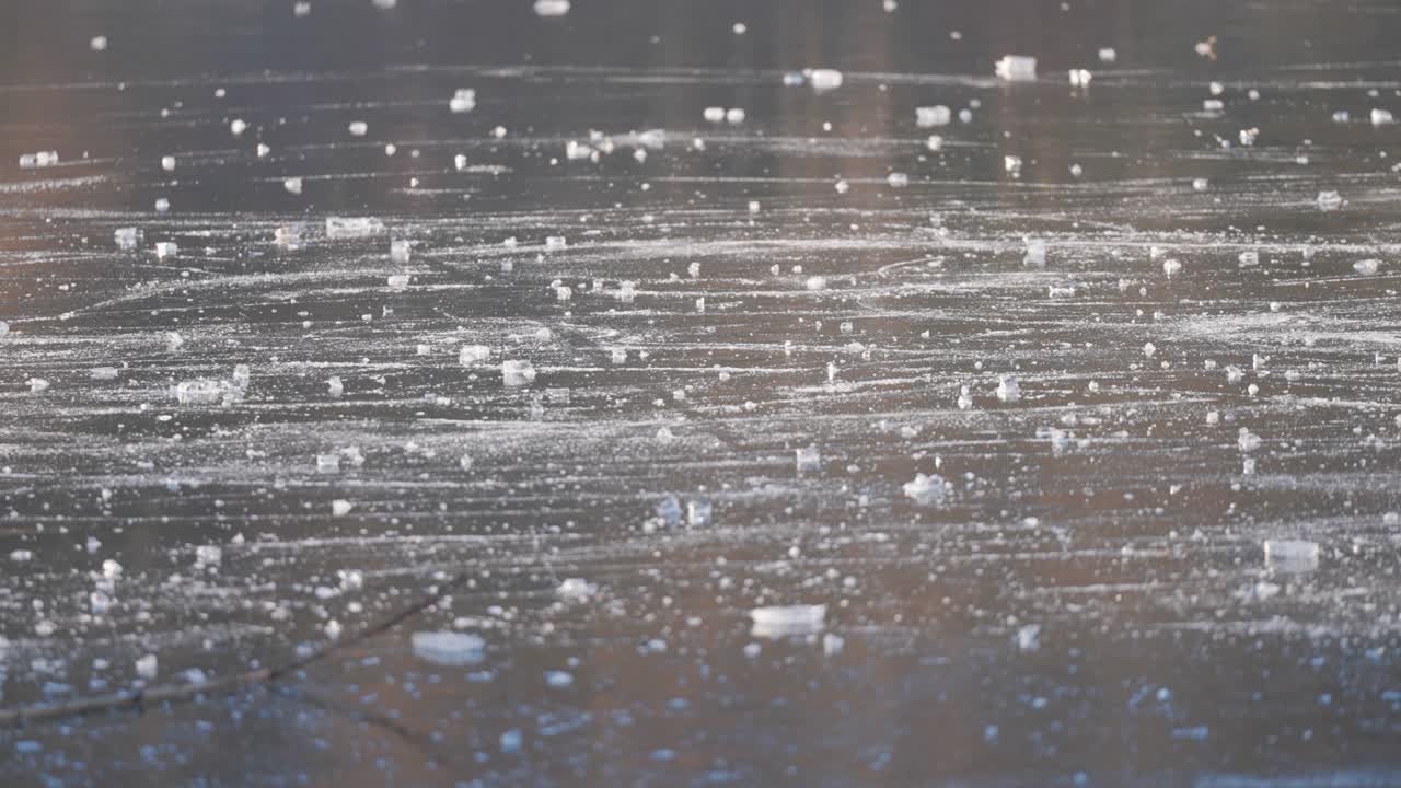 얼어붙은 연못, 얼음 조각으로 여, 낮은 겨울 태양의 춤추는 광선에 의해 조명됩니다.