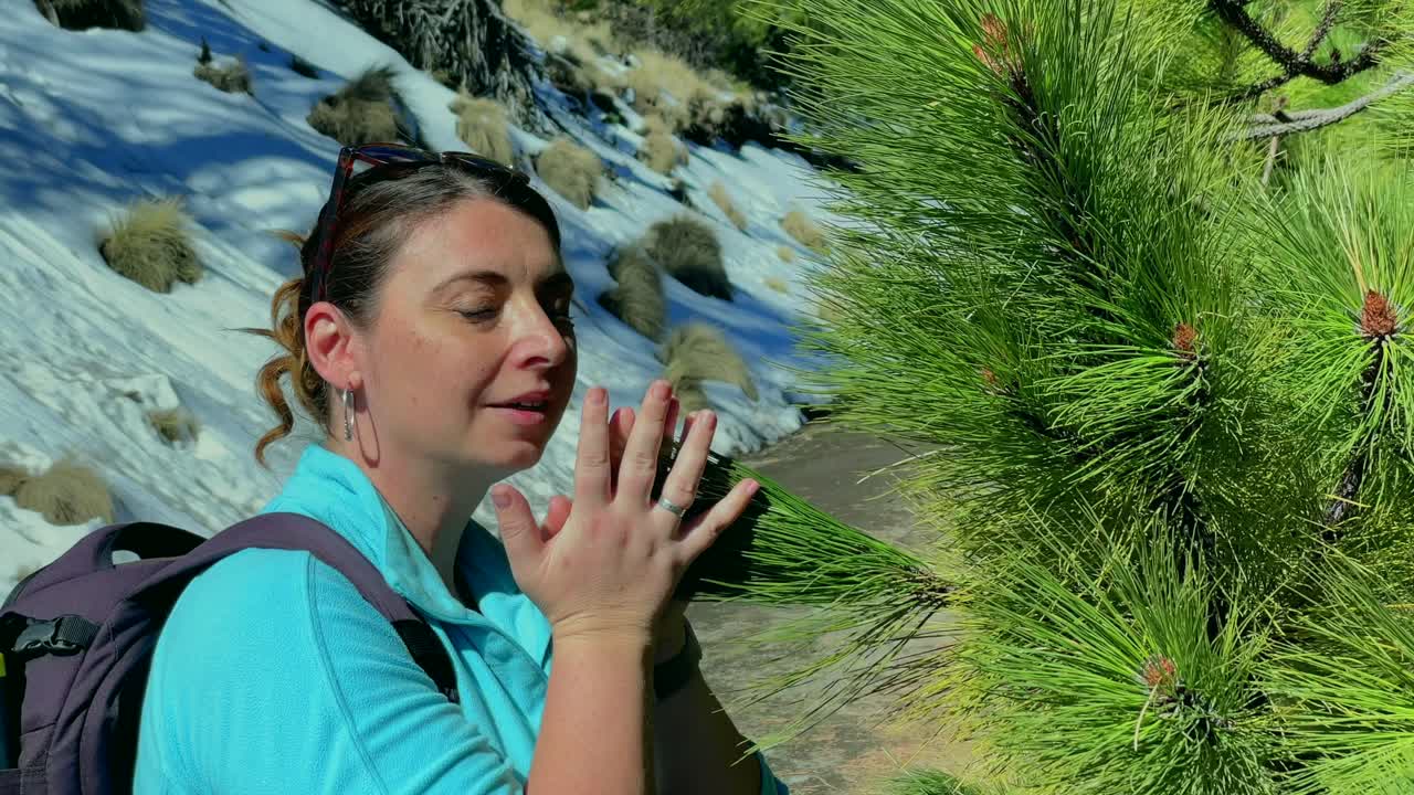 Hiker smells pine tree branch, slowly inhales and exhales to relax and smiles at camera. Snowed Nevado de Colima trek, Mexico