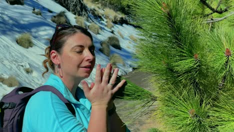 hiker smells pine tree branch, slowly inhales and exhales to relax and smiles at camera. snowed nevado de colima trek, mexico