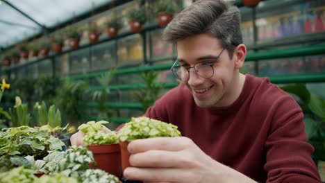 Botanische-Schönheit:-Ein-Blick-Auf-Topfblumen-In-Einem-Fachgeschäft