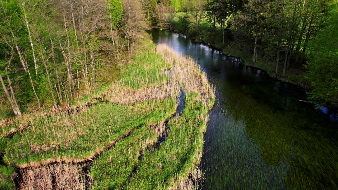 Kayak mooring point on the wild Hańcza River