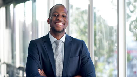 happy businessman, professional