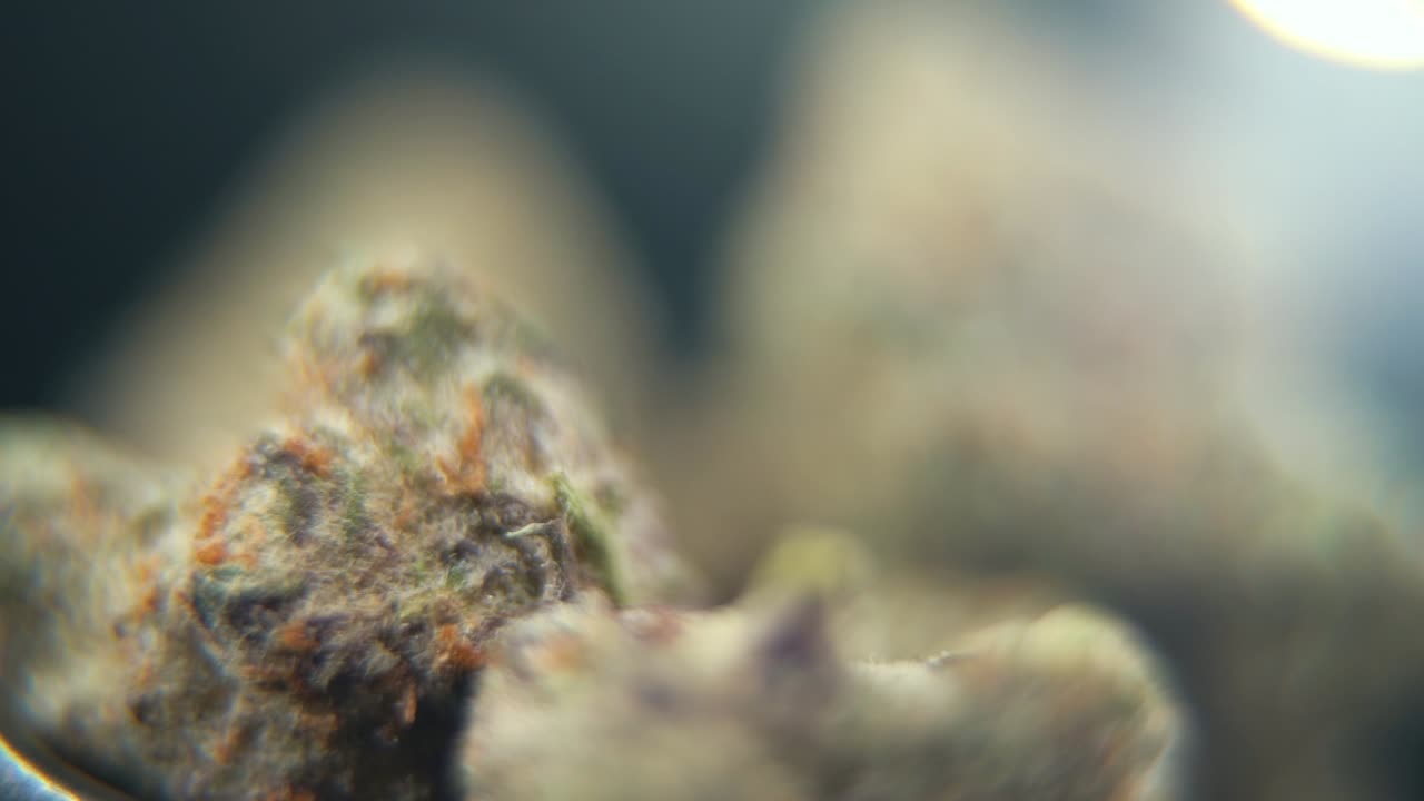 Hyper Macro shot of a high-quality cannabis bud rotating on a 360-degree stand, highlighting orange trichomes, vibrant colors, and fine details. Perfect for promoting premium cannabis products 120 fps