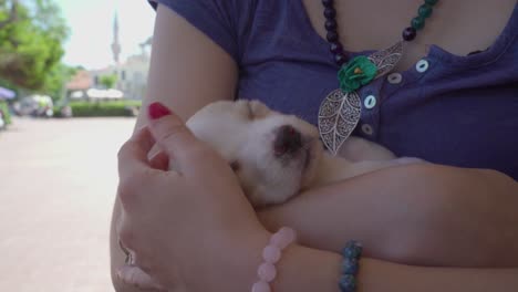 A-beautiful-woman-holding-and-petting-a-brown-puppy-with-love