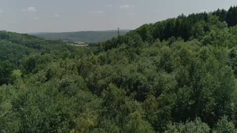 AERIAL:-Flyby-over-trees-revealing-a-rolling,-rural-landscape-on-a-summer-day