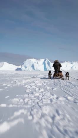 dog sledding adventure through a snowy arctic landscape
