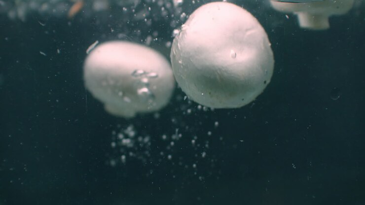 Champignons Mushrooms slowly falls into boiling water slow motion close-up. Mushrooms champignons slowly falls into boiling water slow motion close-up on