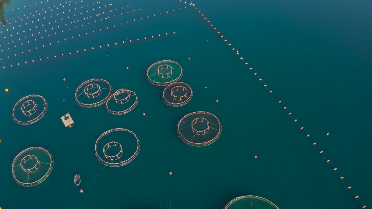 Aerial view of Round fish farms in the adriatic sea in Montenegro