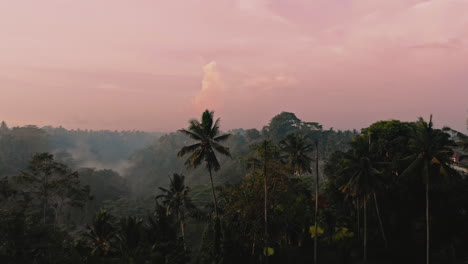 cinematic aerial shot of rice terraces in early morning at dawn